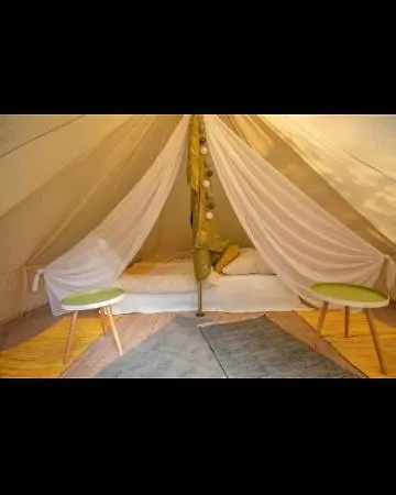 Into The Glamping- Maple